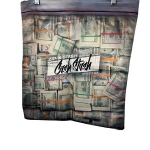 BRAND NEW$$$ Set of 2 Zip-N-Stash Cash Stash Decorative Pillow Cases Money Print